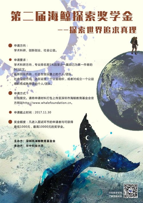 创业方向都有哪些，探索与启示