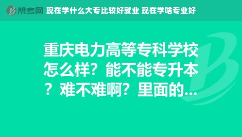 现在学什么大专比较好就业 现在学啥专业好