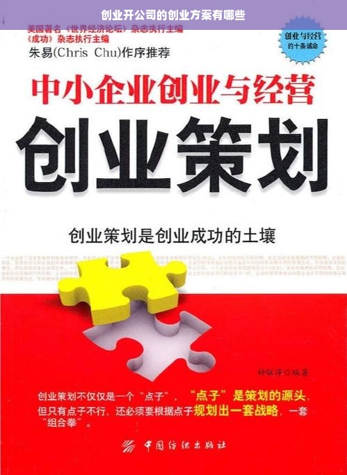 创业开公司的创业方案有哪些