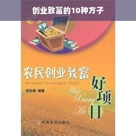 创业致富的10种方子