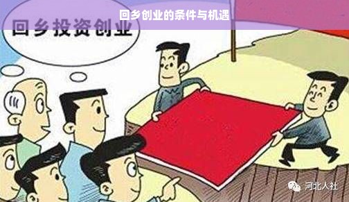 回乡创业的条件与机遇