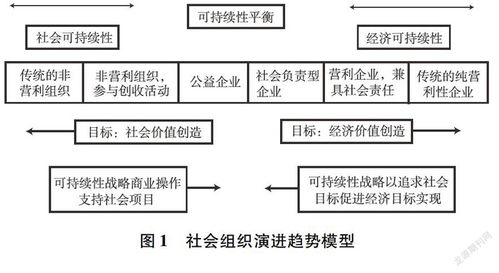 社会创业模型有哪些？