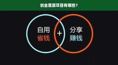 创业意愿项目有哪些？