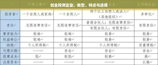 创业投资企业，类型、特点与选择