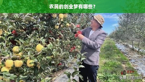 农民的创业梦有哪些？