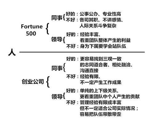 创业公司成员解析