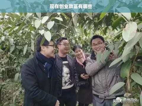 现在创业致富有哪些