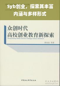 Syb创业，探索其丰富内涵与多样形式