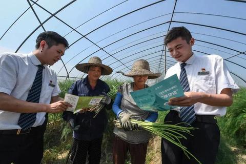 内部创业的优势与挑战