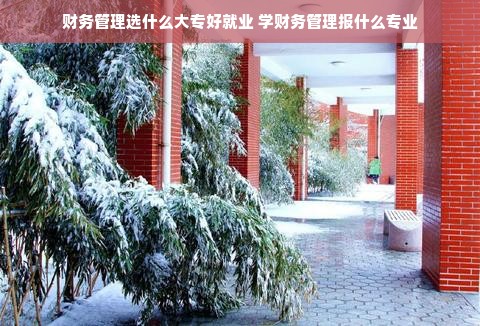 财务管理选什么大专好就业 学财务管理报什么专业