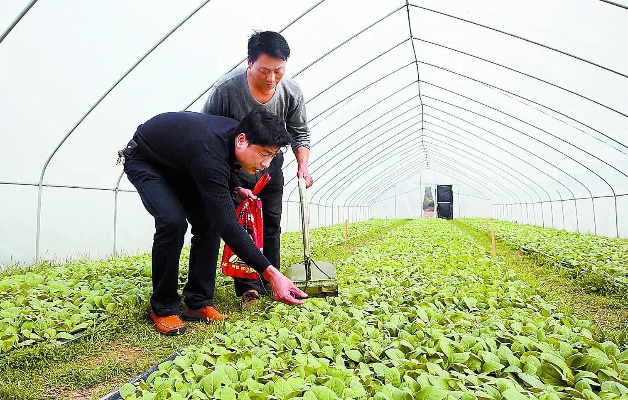 农民创业途径有哪些