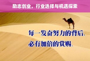 励志创业，行业选择与机遇探索