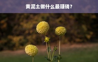 黄泥土做什么最赚钱？