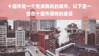 十堰市是一个充满商机的城市，以下是一些在十堰市赚钱的途径