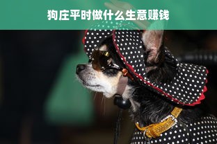 狗庄平时做什么生意赚钱