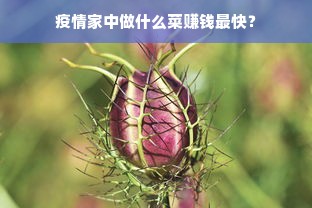 疫情家中做什么菜赚钱最快？