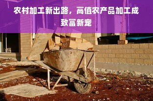 农村加工新出路，高值农产品加工成致富新宠