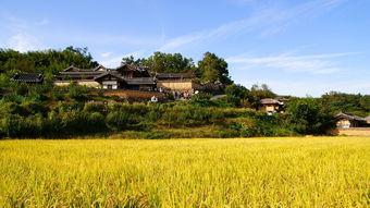 乡场最赚钱的生意，探寻乡村市场的无限商机