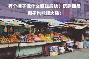 有个棚子做什么赚钱最快？搭建简易棚子也能赚大钱！