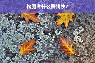 松露做什么赚钱快？