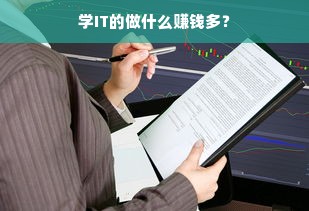 学IT的做什么赚钱多？