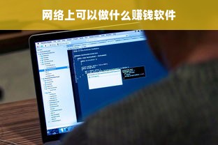 网络上可以做什么赚钱软件