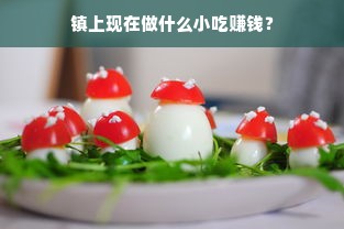 镇上现在做什么小吃赚钱？