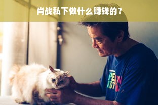 肖战私下做什么赚钱的？