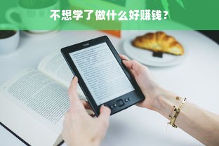 不想学了做什么好赚钱？