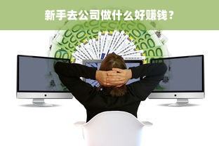 新手去公司做什么好赚钱？