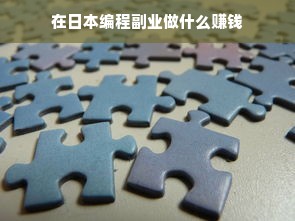 在日本编程副业做什么赚钱