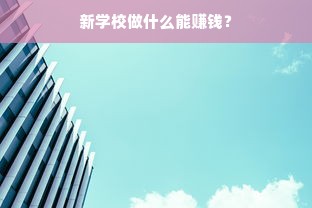 新学校做什么能赚钱？