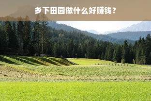 乡下田园做什么好赚钱？