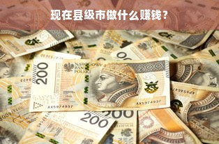 现在县级市做什么赚钱？