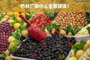 药材厂做什么生意赚钱？