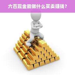 六百现金能做什么买卖赚钱？