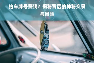 拍车牌号赚钱？揭秘背后的神秘交易与风险