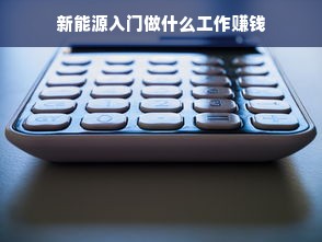 新能源入门做什么工作赚钱