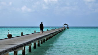 三亚旅游业繁荣，男人在三亚的多种赚钱途径