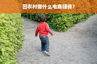 回农村做什么电商赚钱？