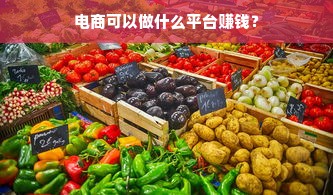 电商可以做什么平台赚钱？