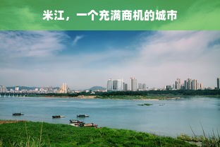 米江，一个充满商机的城市