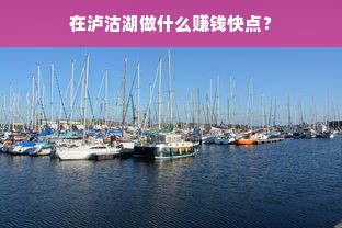 在泸沽湖做什么赚钱快点？