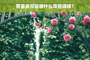 育苗房可以做什么项目赚钱？