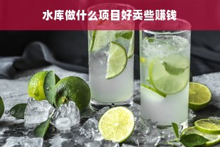 水库做什么项目好卖些赚钱