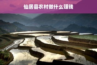 仙居县农村做什么赚钱