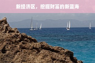 新经济区，挖掘财富的新蓝海