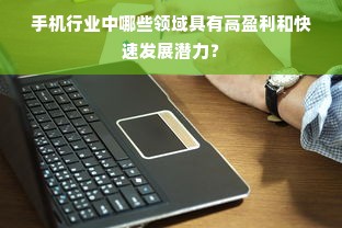 手机行业中哪些领域具有高盈利和快速发展潜力？