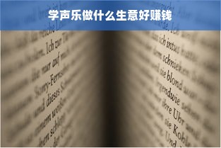 学声乐做什么生意好赚钱