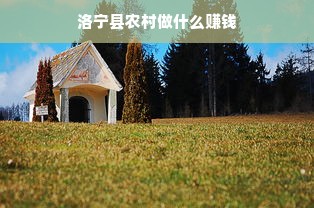 洛宁县农村做什么赚钱